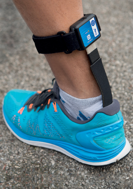 News fgp blu insole