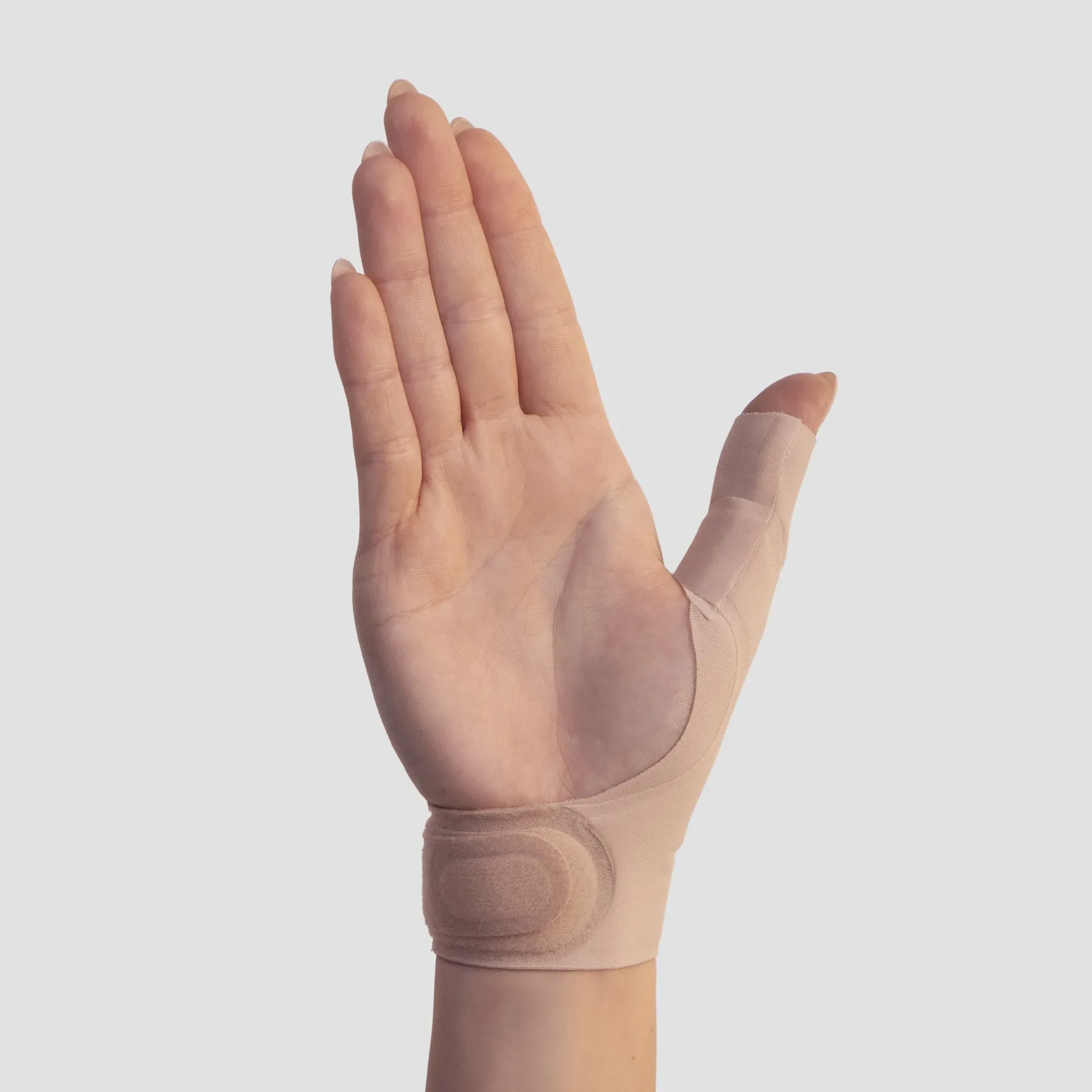 FGP prodotti PDN RHIZO 6